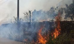 Manavgat'ta zirai alanda çıkan yangın söndürüldü