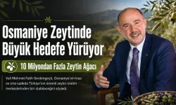 Osmaniye Zeytinde Büyük Hedefe Yürüyor