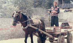 Osmaniye’de At Arabalarının Unutulmaz İsmi “Sarı”