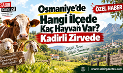 Osmaniye’de Hangi İlçede Kaç Hayvan Var? Kadirli Zirvede