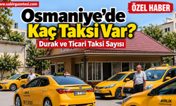 Osmaniye’de Kaç Taksi Var? Durak ve Ticari Taksi Sayısı