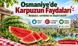 Osmaniye’de Karpuzun Faydaları ve Besin Değerleri