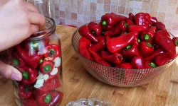 Osmaniye’de Kışlık Hazırlık İçin Maraş Biberi Turşusu