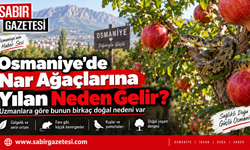 Osmaniye’de Nar Ağaçlarına Yılan Neden Gelir?