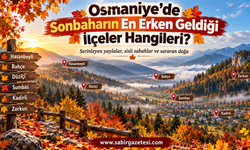 Osmaniye’de Sonbaharın En Erken Geldiği İlçeler Hangileri?