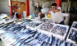 Balık Sezonun ilk gözdesi palamut oldu