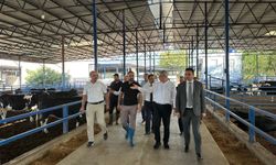 Milletvekili Gülsoy’dan Osmaniye’de Esnaf Ziyareti