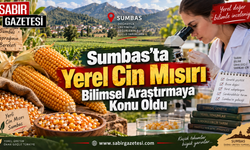 Sumbas’ta Yerel Cin Mısırı Bilimsel Araştırmaya Konu Oldu