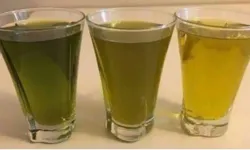 Osmaniye’de Zeytinyağı Alırken Dikkat! Gerçek Ve Sahte Ürün Nasıl Ayırt Edilir?