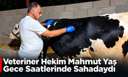 Veteriner Hekim Mahmut Yaş Gece Saatlerinde Sahadaydı