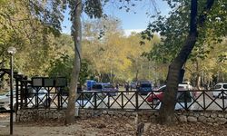 Adana'da 22 yaşındaki kadın tüfekle vurularak öldürüldü