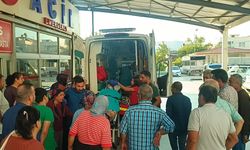 Adana'da kestiği ağaç üzerine devrilen kişi ağır yaralandı