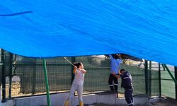 Akdeniz Belediyesinin hayvan barınağında iyileştirme yapıldı