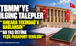 TBMM'ye İlginç Talepler: Ankara Tekirdağ'a Bağlansın, 60 Yaş Üstüne Yeşil Pasaport Verilsin