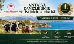 Antalya Damızlık Birliği 1. Derece Tarımsal Örgüt Oldu