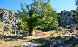 Antalya Termessos’ta Askeri Nekropol Tarihe Işık Tutuyor