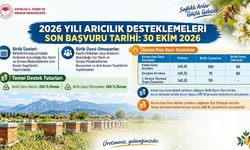 Antalya’da 2026 Arıcılık Destekleri İçin Son Gün 30 Ekim