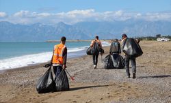 Antalya'da caretta carettaların yuvalama alanı Kumköy Sahili'nde temizlik yapıldı