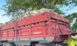 Burdur Şeker Fabrikasında 87 bin ton kristal şeker üretilmesi bekleniyor