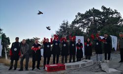 Burdur'da 200 çil keklik doğaya bırakıldı