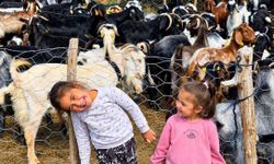 Dağların Çiçekleri Küçük Yörük Kızları