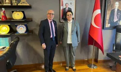Osmaniye'nin Yatırımları Ve Yerel Basının Geleceği TBMM'de Gündeme Geldi