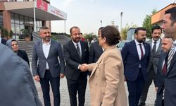 Derya Yanık Kadın Kadının Kurdu Değil Yurdu Olmalı