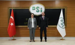 Kadirli Bülbül Deresi’nde İhale Ekimde