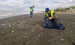Dörtyol, Erzin ve Payas Sahillerinde Temizlik Seferberliği