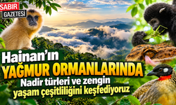 Hainan Yağmur Ormanlarında Nadir Türler Görüntülendi