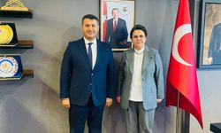 Hasanbeyli’nin Öncelikli İhtiyaçları TBMM’de Ele Alındı