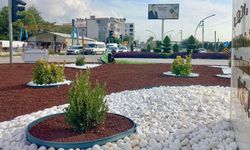 Hatay Dörtyol’da Orta Refüjlere Turunç Ağacı Dikiliyor