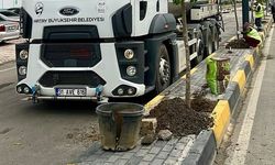 Hatay Dörtyol’da Refüjlere Turunç Ağacı Dikildi
