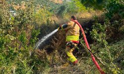 Hatay İskenderun’da Ağaçlık Alanda Yangın Çıktı