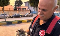 Hatay’da Mahsur Kalan Hayvanları İtfaiye Kurtardı