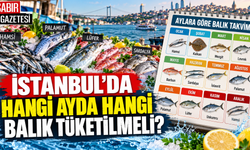 İstanbul'da Hangi Ayda Hangi Balık Tüketilmeli?