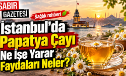 İstanbul'da Papatya Çayı Ne İşe Yarar Faydaları Neler