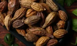 Dünyanın En Zengin C Vitamini Kaynaklarından Biri: Kakadu Eriği Nedir?