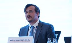Kalyon PV güneş paneli üretimi için ABD'de fabrika kuracak