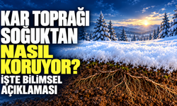 Kar Toprağı Soğuktan Nasıl Koruyor? İşte Bilimsel Açıklaması
