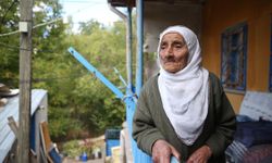 Kayseri'nin asırlık çınarları yıllara meydan okuyor