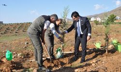 Mersin'de şehit savcı Kiraz'ın adının yaşatıldığı hatıra ormanına 1000 fidan dikildi