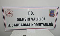 Mersin'de tarihi eser niteliği taşıdığı değerlendirilen 6 obje ele geçirildi
