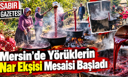 Mersin'de Yörüklerin Nar Ekşisi Mesaisi Başladı