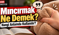 Mıncırmak Ne Demek Hangi Anlamda Kullanılır?