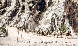 Niğde'de 1910'lu Yıllardan Tarihî Deve Kervanı Fotoğrafı