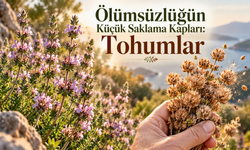 Ölümsüzlüğün Küçük Saklama Kapları: Tohumlar