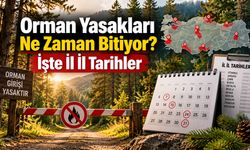 Orman Yasakları Ne Zaman Bitiyor İşte İl İl Tarihler ?