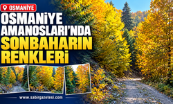 Osmaniye Amanosları’nda Sonbaharın Renkleri
