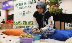 Osmaniye'de Üniversiteli Kız Öğrenciler Fıstık Kırmada Yarıştı